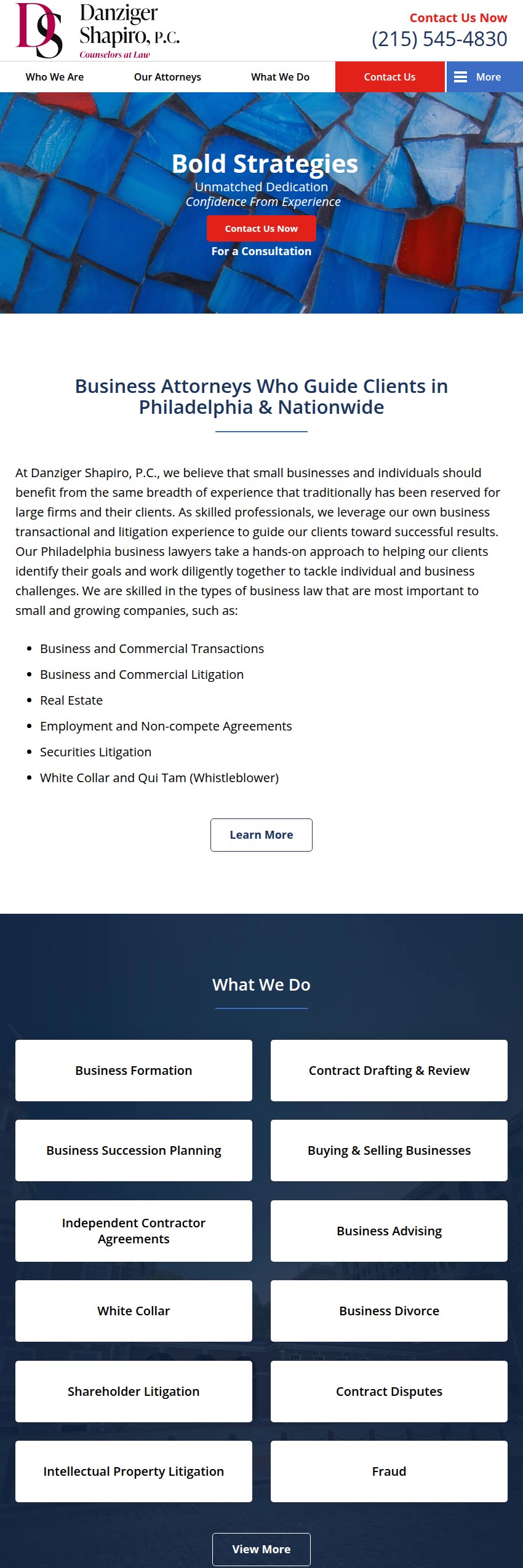 Screenshot of the Danziger Shapiro, P.C. website