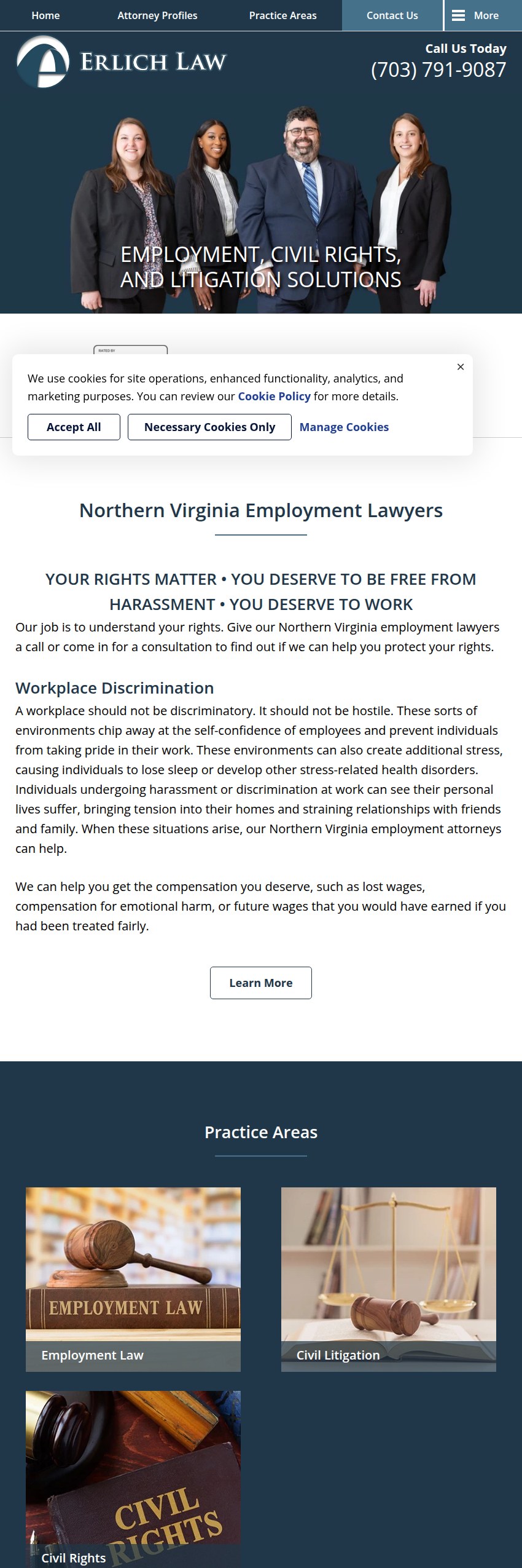 Screenshot of the The Erlich Law Office website
