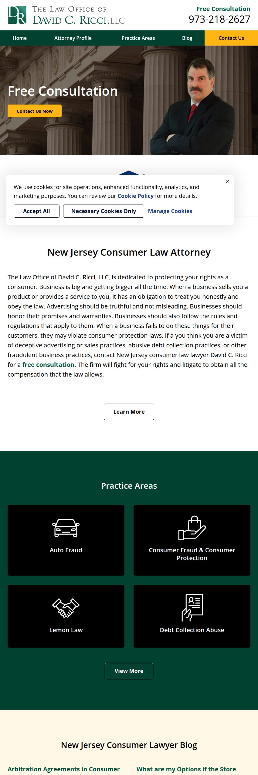 Screenshot of the Law Office of David C. Ricci, LLC website