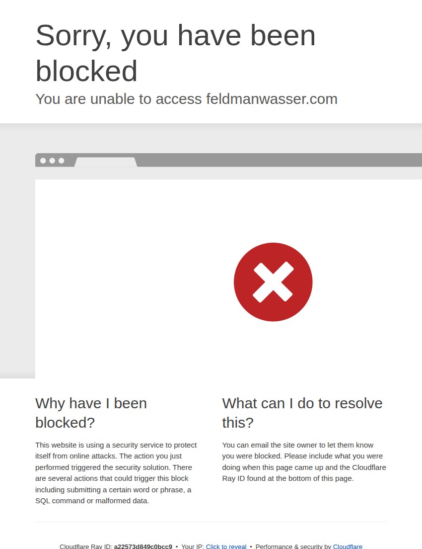Screenshot of the Feldman Wasser website