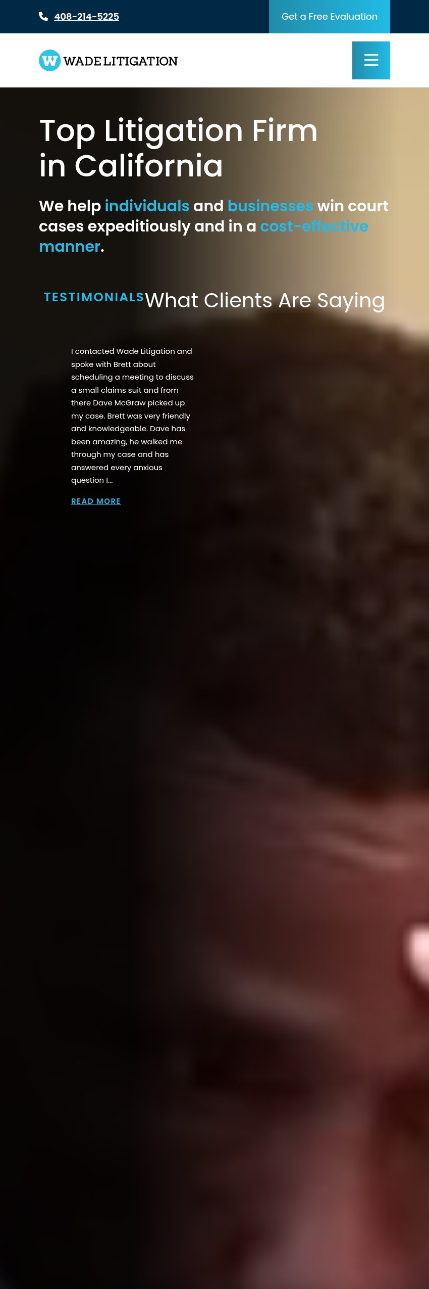 Screenshot of the Wade Litigation website