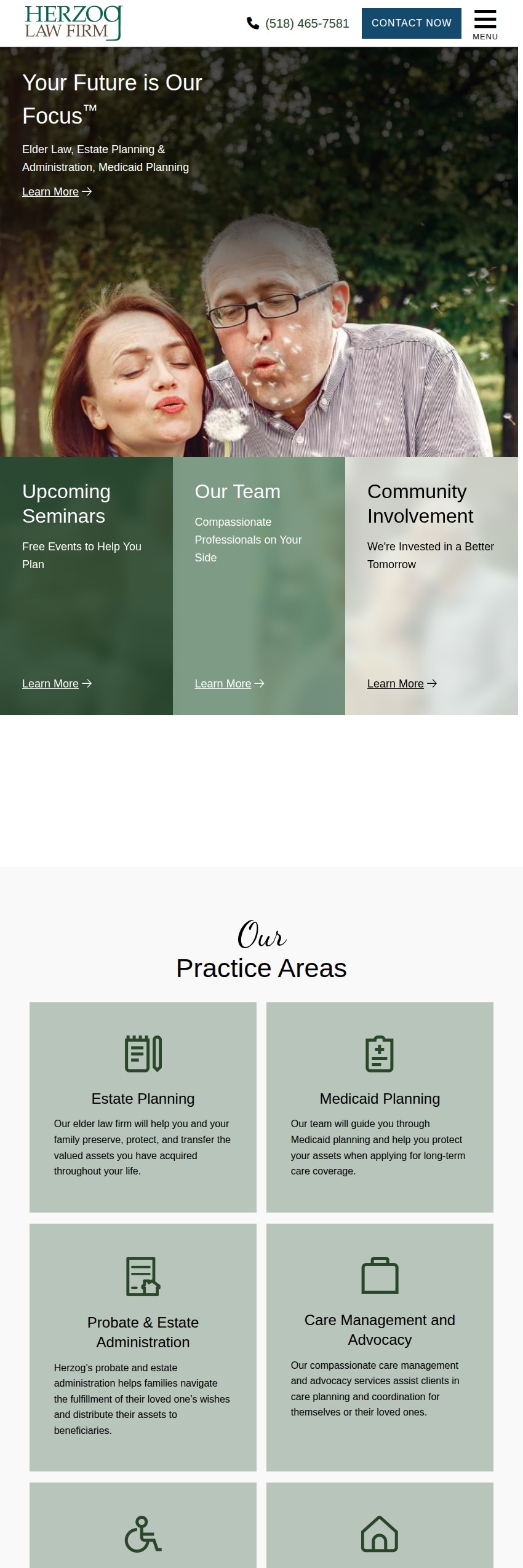 Screenshot of the Herzog Law Firm website