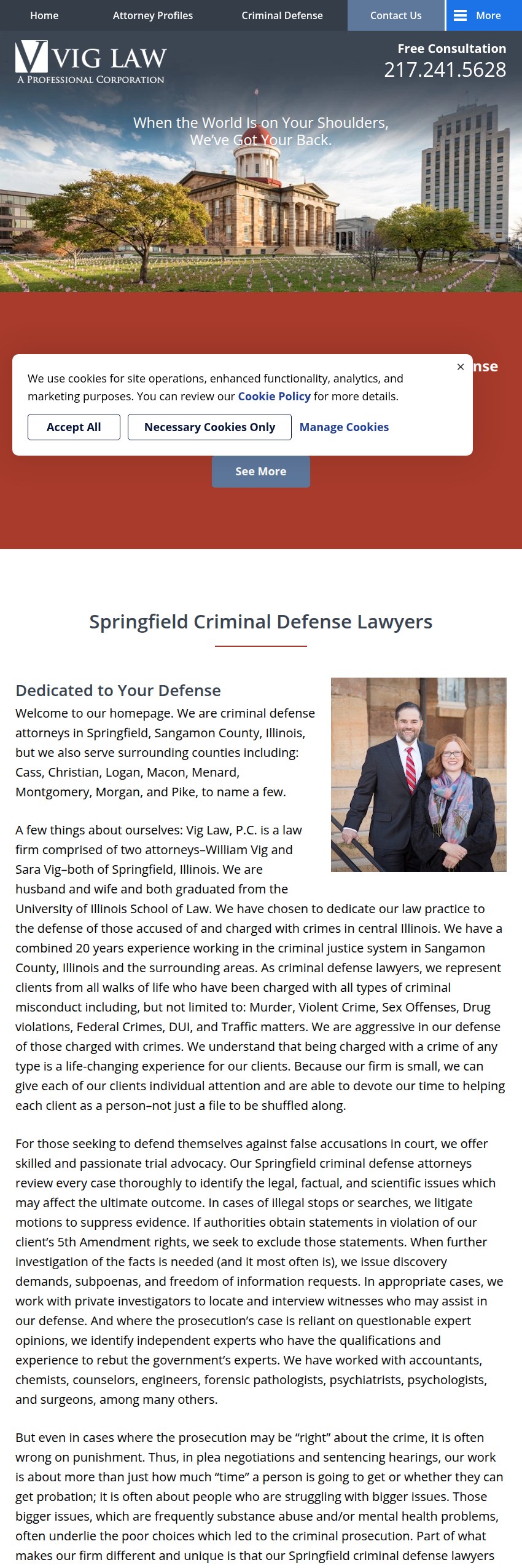 Screenshot of the Vig Law, P.C. website