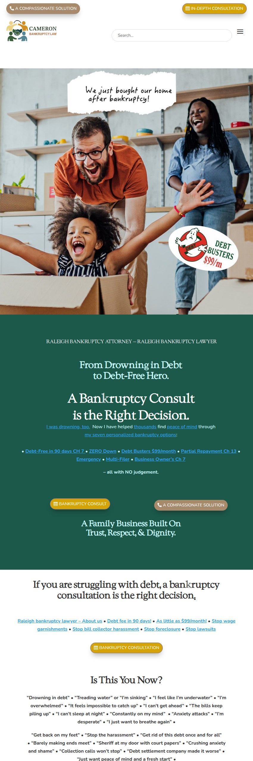 Screenshot of the Cameron Bankruptcy Law website