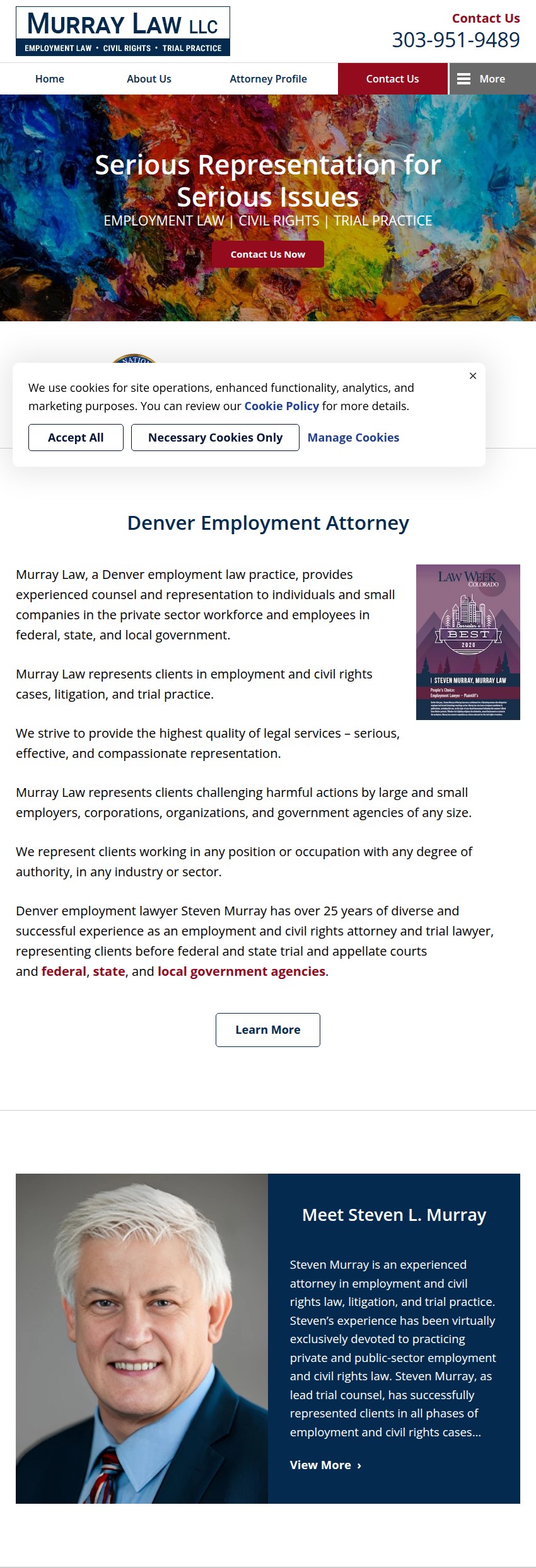Screenshot of the Murray Law LLC website