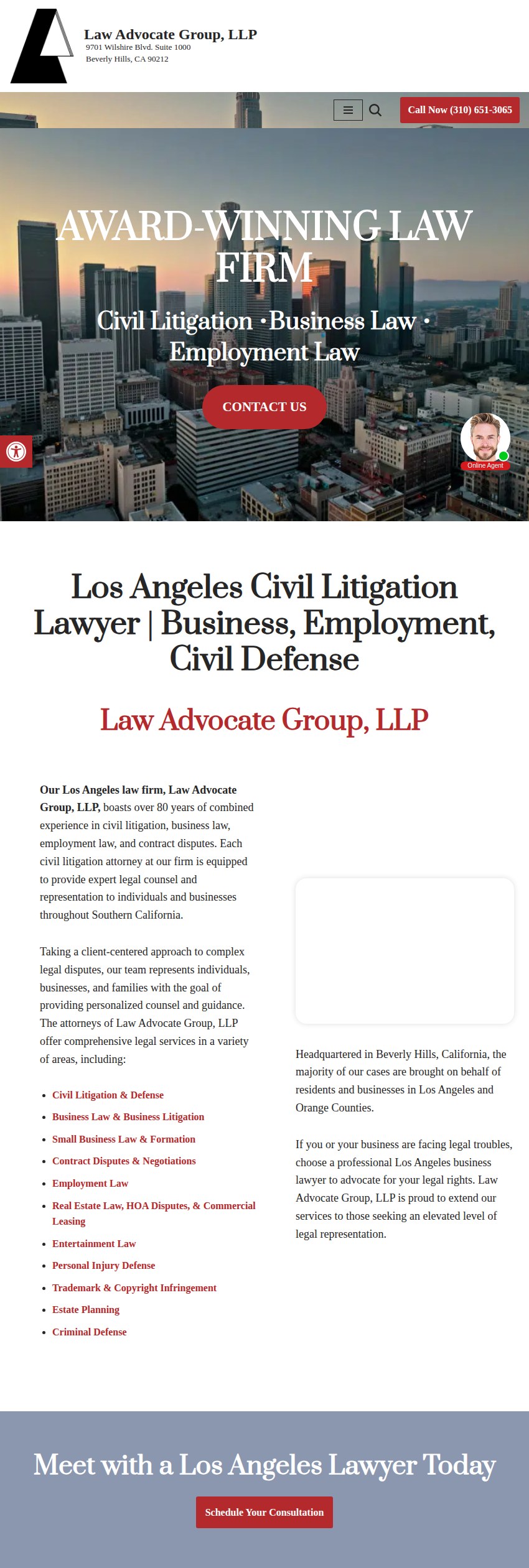 Screenshot of the Law Advocate Group, LLP website