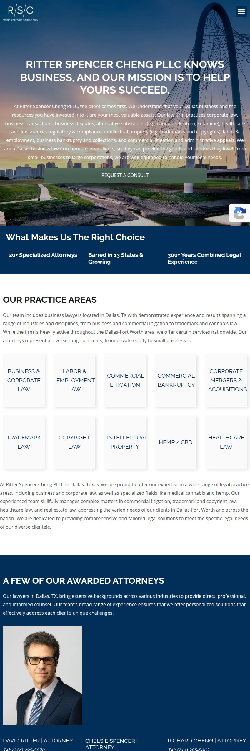 Screenshot of the Ritter Spencer Cheng PLLC website
