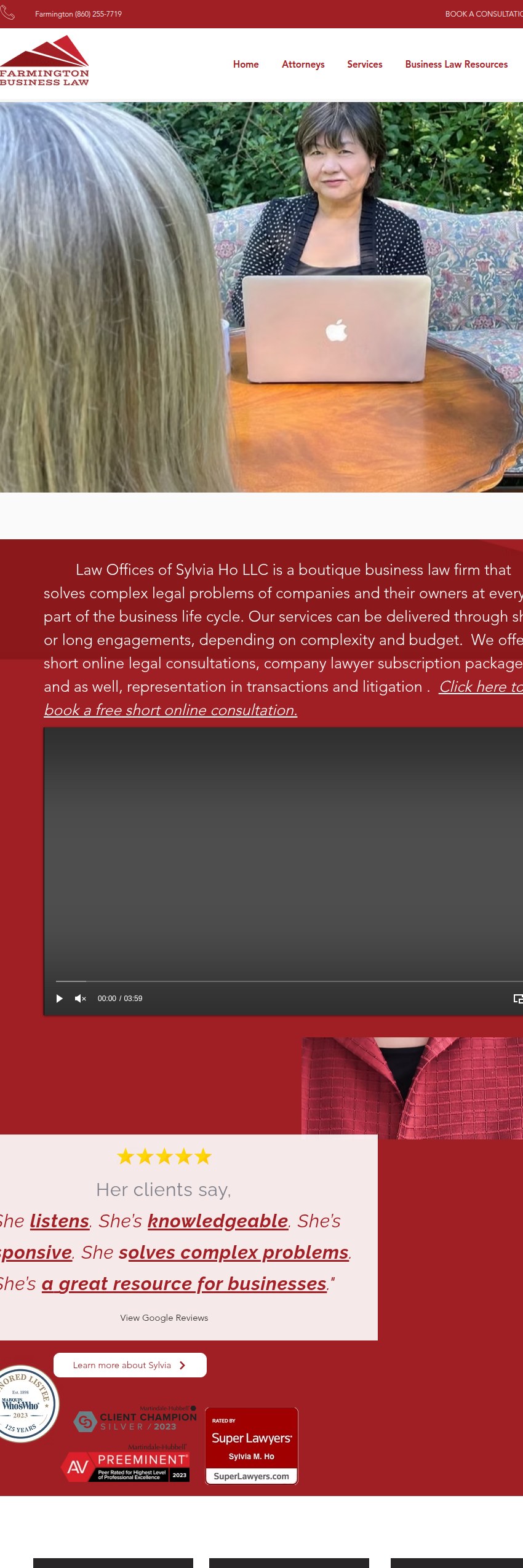 Screenshot of the Law Offices of Sylvia Ho, LLC website