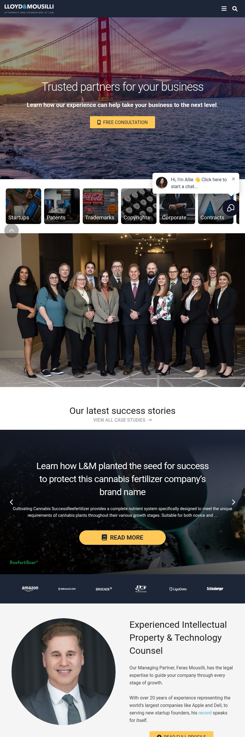Screenshot of the Lloyd & Mousilli PLLC website