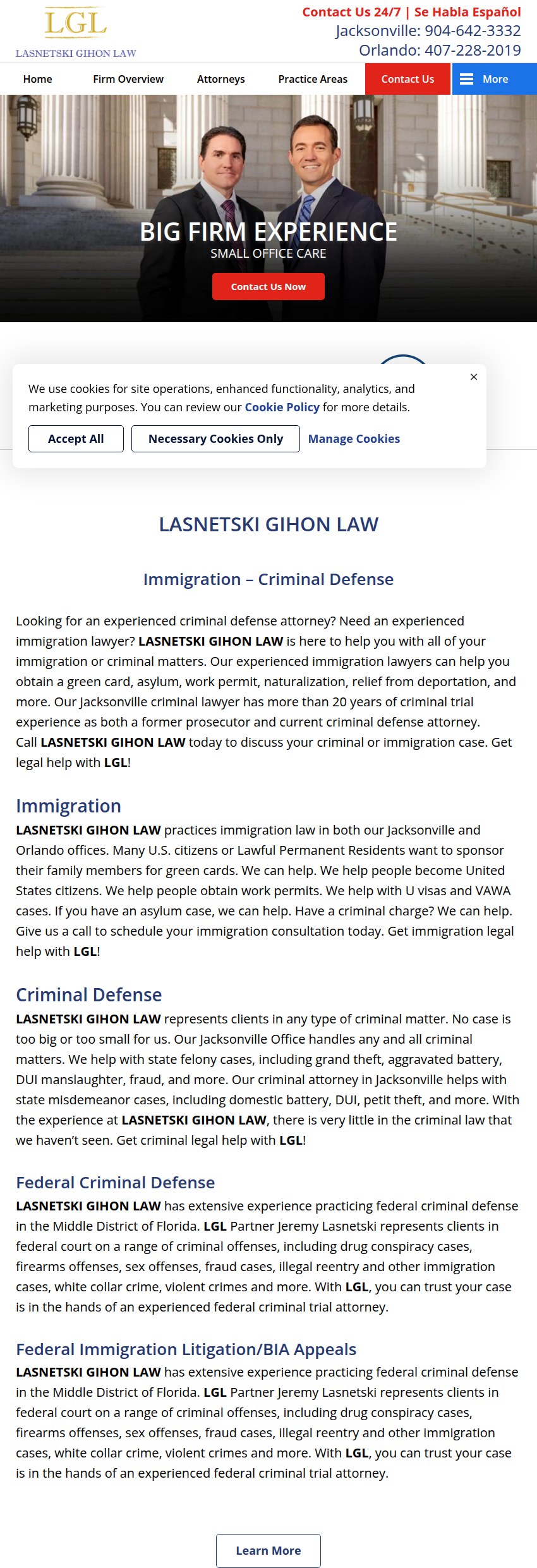 Screenshot of the Lasnetski Gihon Law website
