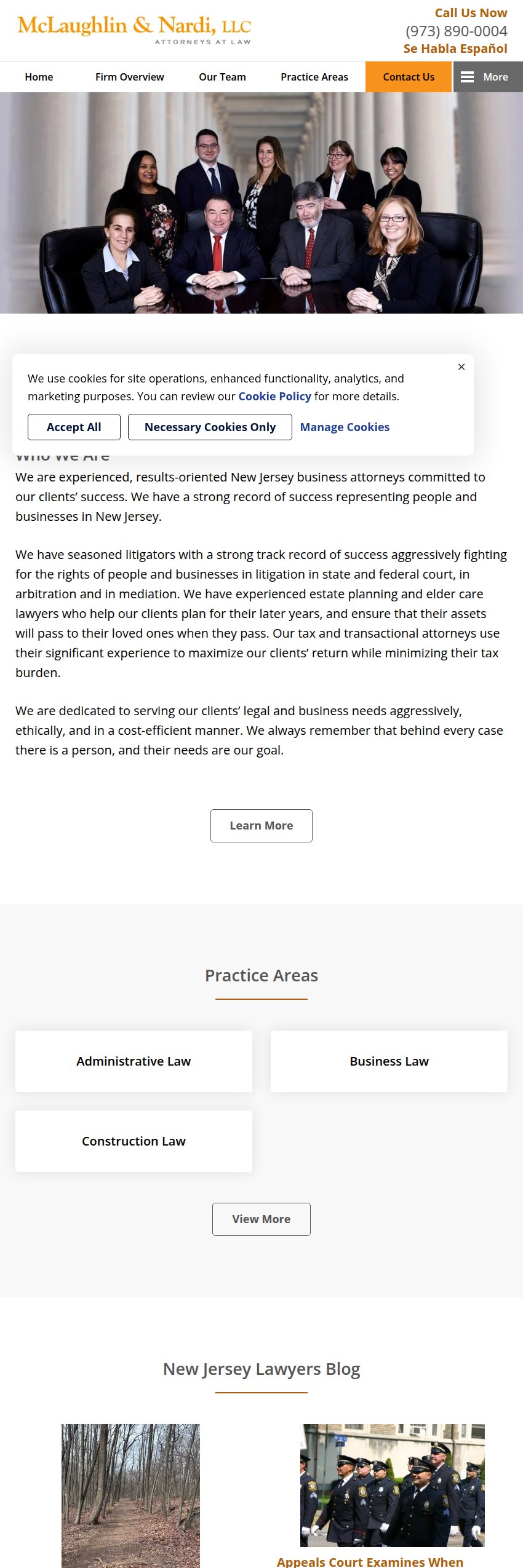 Screenshot of the McLaughlin & Nardi, LLC website